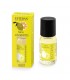 Terre d´Agrumes Concentrado 15 ml Esteban