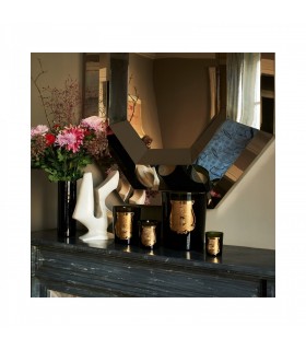 Ernesto 3 Kg Vela Perfumada Cire Trudon