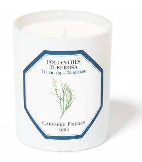 Tuberose Scented Candle 185 gr Carrière Frères