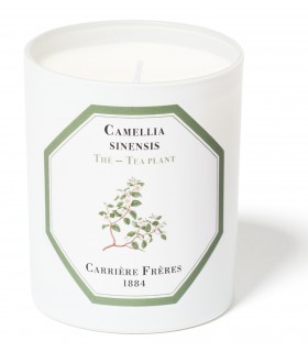 Té Vela Perfumada 185 gr Carrière Frères