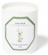 Ginger Scented Candle 185 gr Carrière Frères
