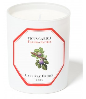 Fig Tree Scented Candle 185 gr Carrière Frères