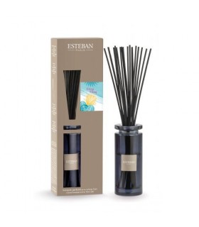 esteban paris parfum
