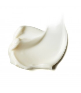 Stem Complex verjüngende Nachttherapie Zelens 50 ml