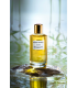 Vetiver Sensuel Eau de Parfum 100 ml Mancera