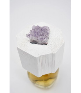 Lux Visionaria 100 ml Extracto de Perfume Filippo Sorcinelli